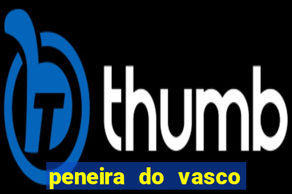 peneira do vasco da gama